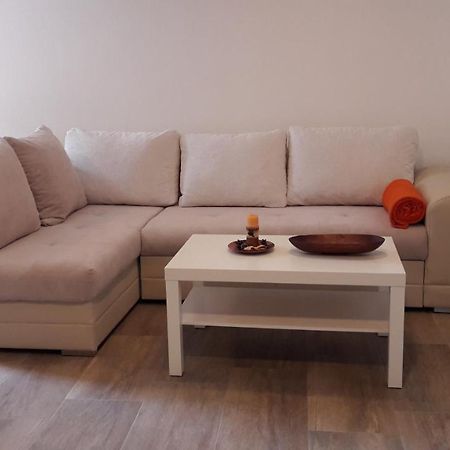 Apartment Nena- Apartman Sa Posebnim Ulazom U Prizemlju, Terasom I Zelenom Okucnicom Rakotule Exterior foto